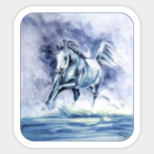 Arabian Horse.  Arabian Sea. Sticker